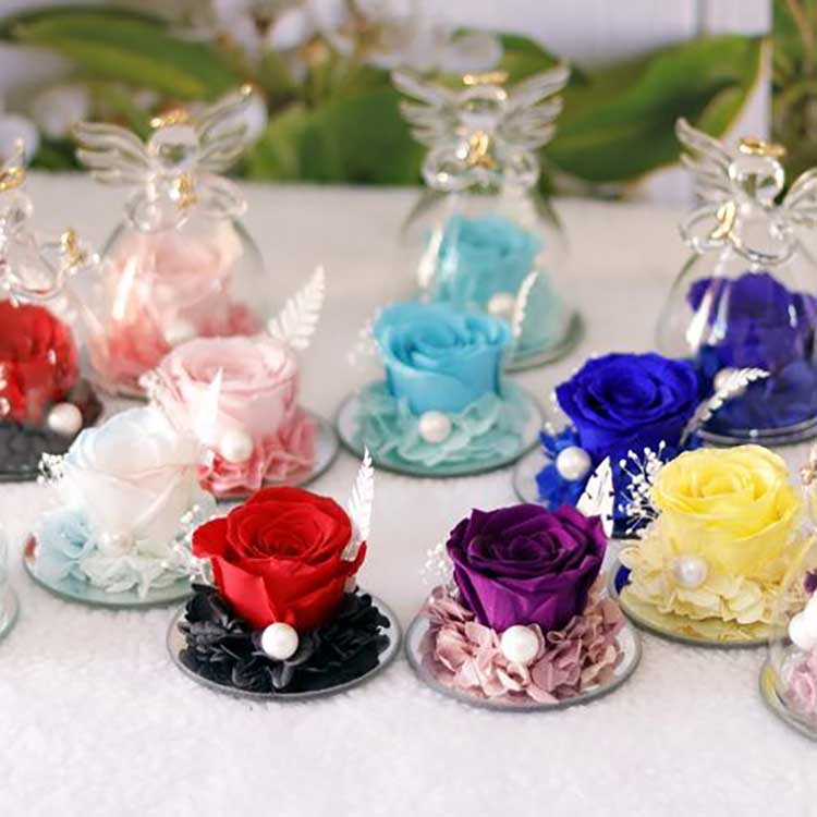 Анђеоска вечна ружа