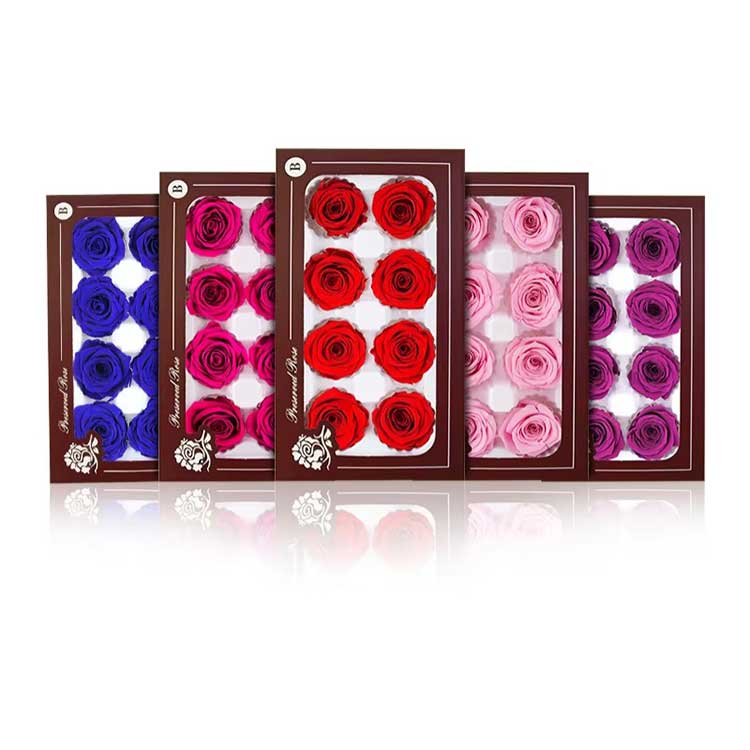 Еверластинг Фловер 8 цветова Росе Поклон кутија