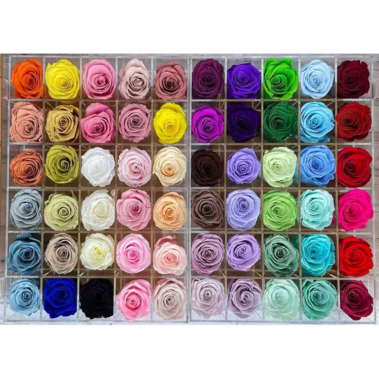 Очуване руже